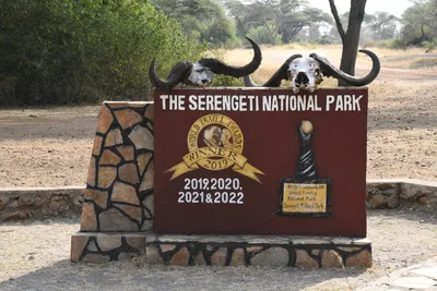 DSC_4131 (Large).JPG